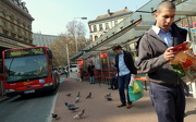 30th Mar 2012 - Queuing pigeons