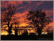 21st Oct 2012 - Red Sky At Night...Sailors Delight