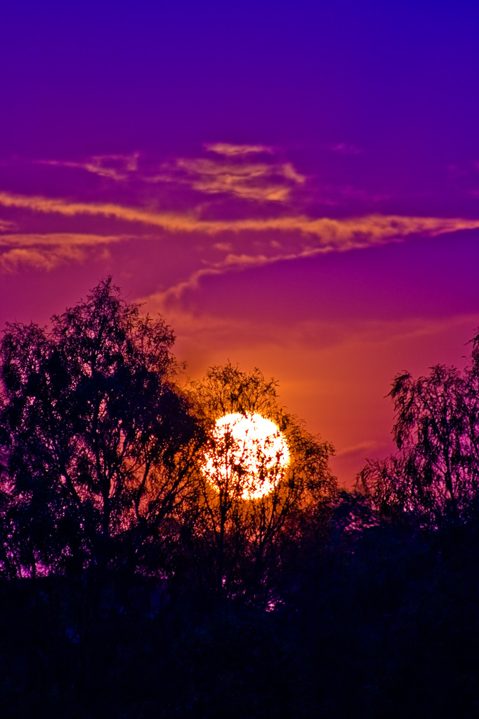 Sweet Sunset by corymbia
