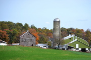 19th Oct 2012 - Farm