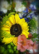 20th Oct 2012 - Fresh Flowers