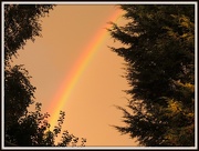 22nd Oct 2012 - Rainbow