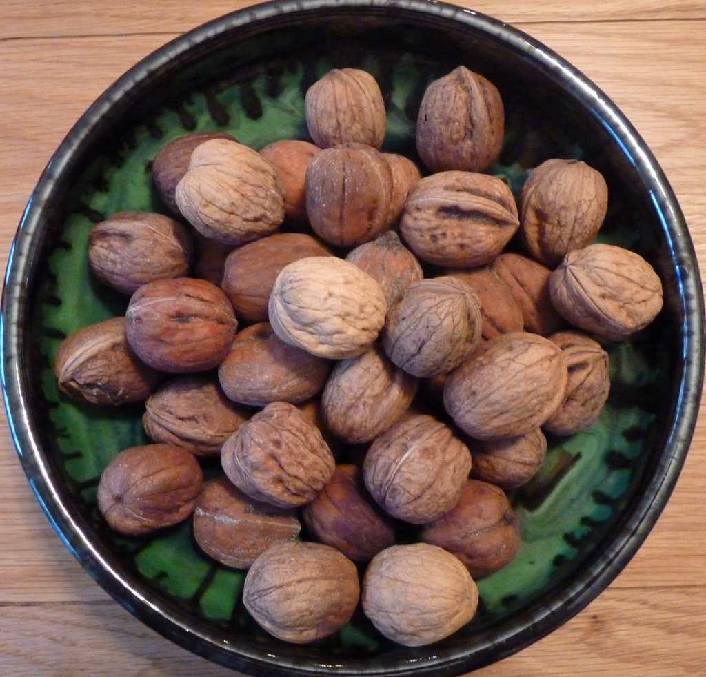 Wet walnuts by lellie