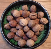 23rd Oct 2012 - Wet walnuts