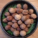 Wet walnuts by lellie