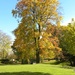 Pavilion Gardens Buxton in Autumn by oldjosh