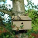 Sparrows on the house by parisouailleurs