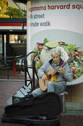 14th Oct 2012 - Street musician at Harvard Square