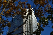 22nd Oct 2012 - office tower