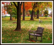 23rd Oct 2012 - Come, sit and enjoy the scenery