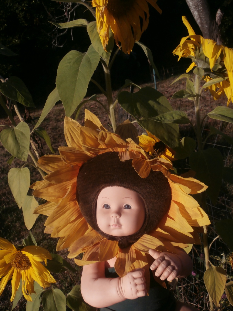 Anne Geddes Sunflower Doll by pandorasecho