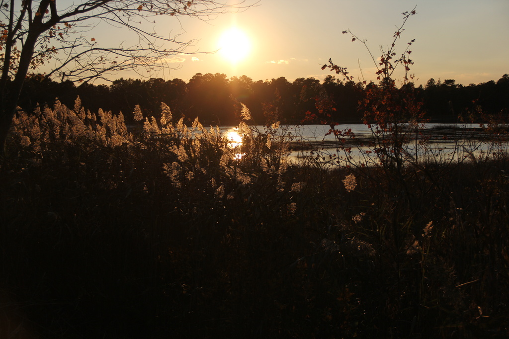 Afternoon Sun by hjbenson