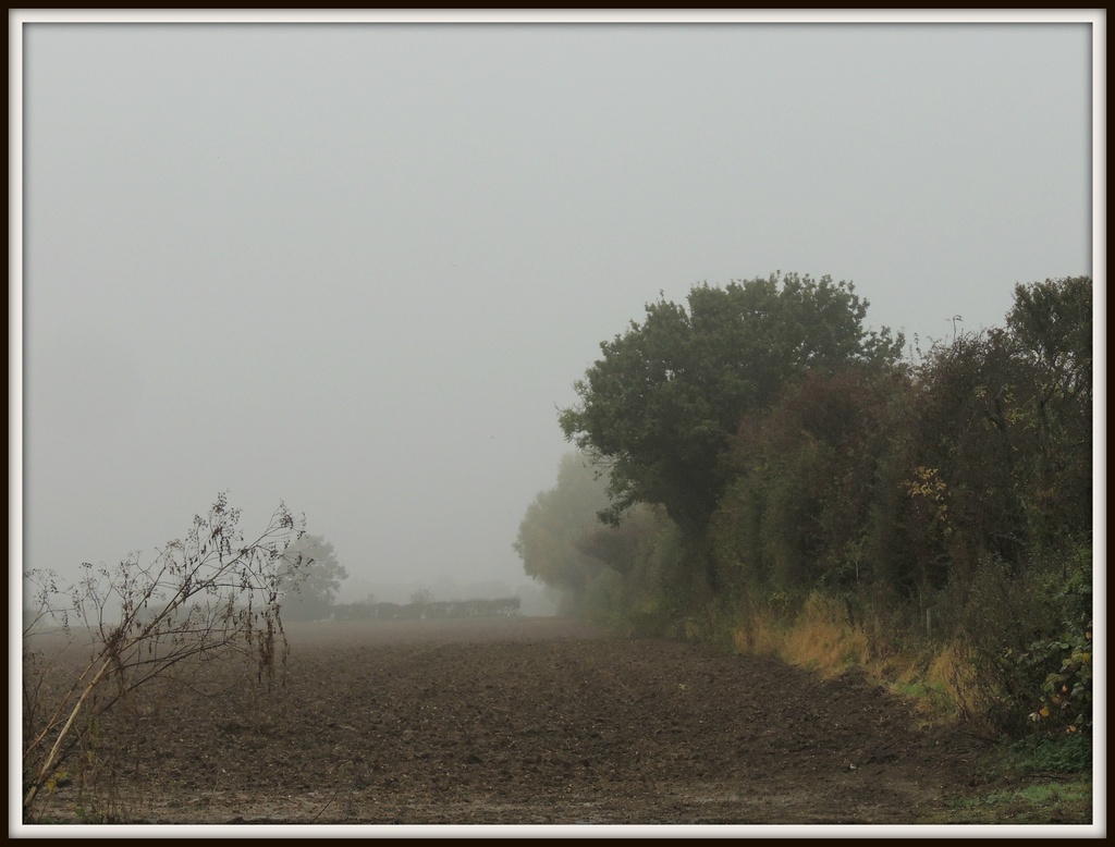 Misty fields  by rosiekind