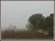 23rd Oct 2012 - Misty fields 