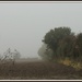 Misty fields  by rosiekind