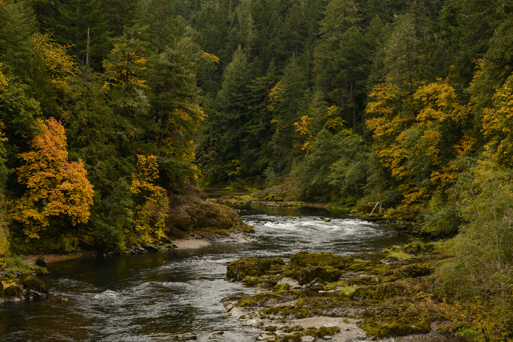 Fall Color Along the Umpqua River by jgpittenger