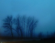 23rd Oct 2012 - Foggy