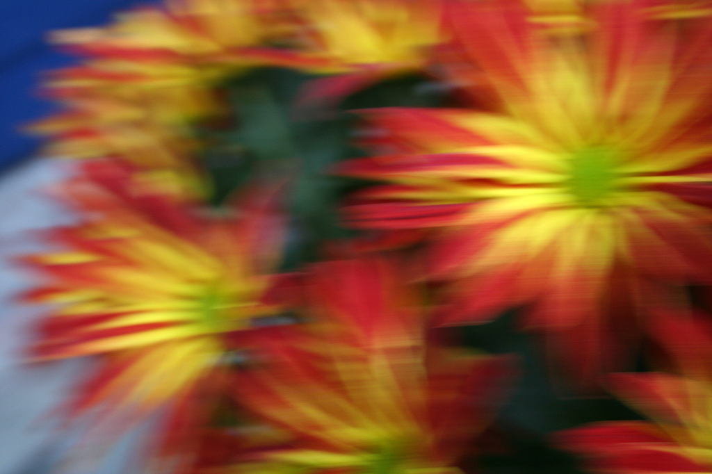 Mums for a Mum, Intentional Blurr by lauriehiggins