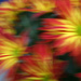 Mums for a Mum, Intentional Blurr by lauriehiggins