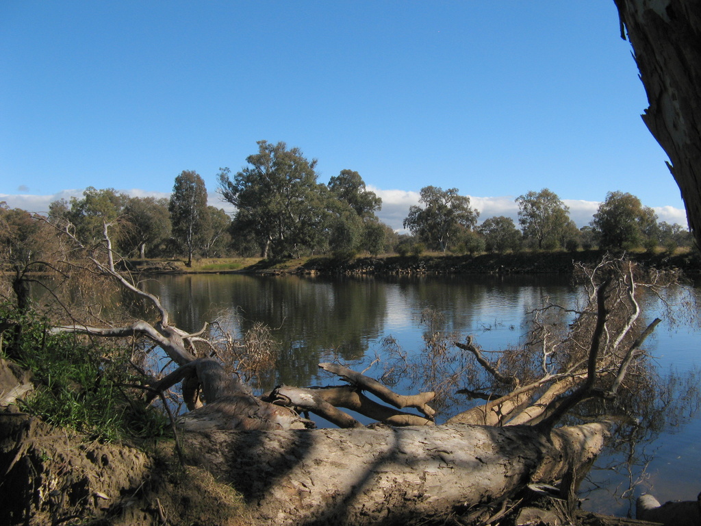 Murray River Albury NSW by marguerita