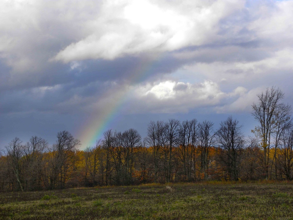 Rainbow by sunnygreenwood