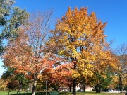 24th Oct 2012 - Fall in New England