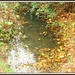 Leaves in the brook by rosiekind