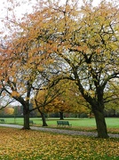 24th Oct 2012 - Homestead Park in Autumn