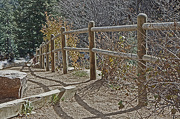 23rd Oct 2012 - fence line