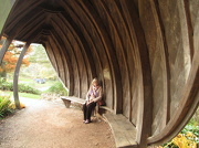 25th Oct 2012 - Sylv, my friend, sitting in the oak leaf shelter                      