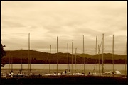 25th Oct 2012 - Masts on Lake Windermere.