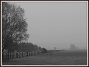 25th Oct 2012 - Field in the mist