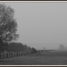 Field in the mist by rosiekind