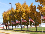 24th Oct 2012 - Row of Flags