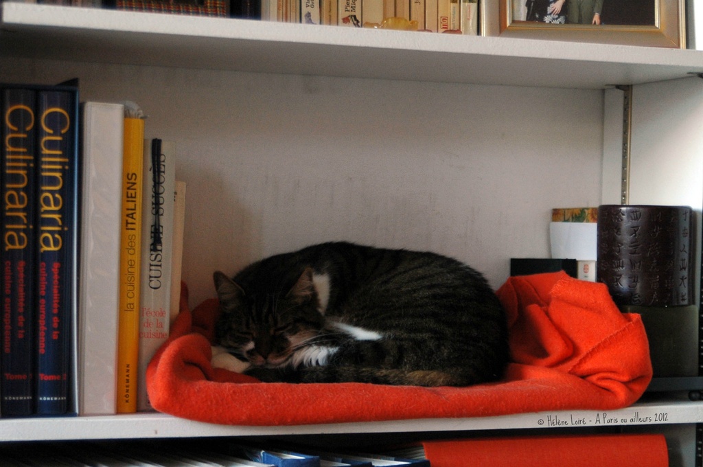 Cozy corner for a nap by parisouailleurs