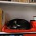 Cozy corner for a nap by parisouailleurs