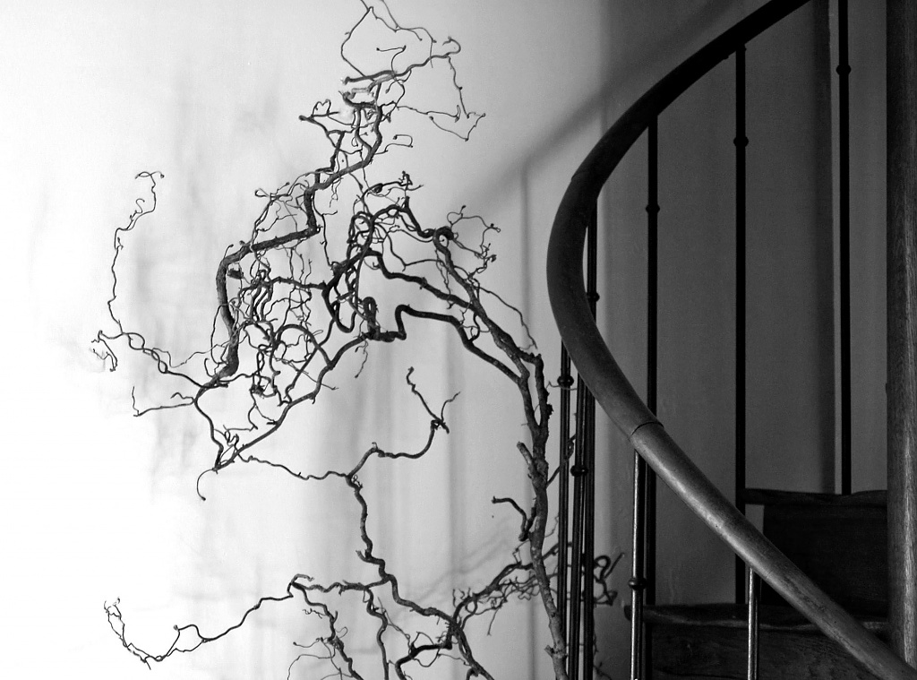 L'escalier by parisouailleurs