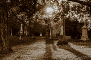 26th Oct 2012 - Spring Grove/It's Almost Halloween