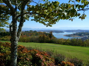 26th Oct 2012 - Overlook at Douglas Lake