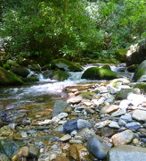 30th Aug 2012 - Rocky Fork