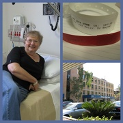 10th Sep 2012 - Biopsy Day