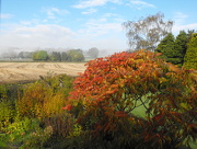 20th Oct 2012 - Yet another view of over the garden hedge.