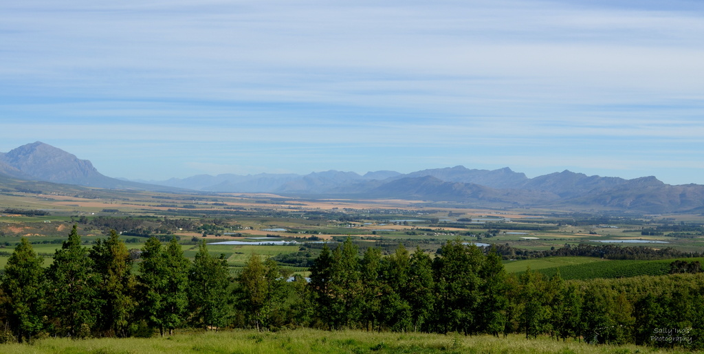 Tulbagh Valley by salza