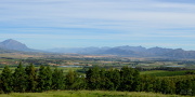 27th Oct 2012 - Tulbagh Valley