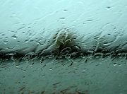 27th Oct 2012 - Rainy Day
