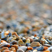Wet Stones on beach ~ 1 by seanoneill