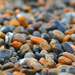 Wet Stones on beach ~ 2  by seanoneill