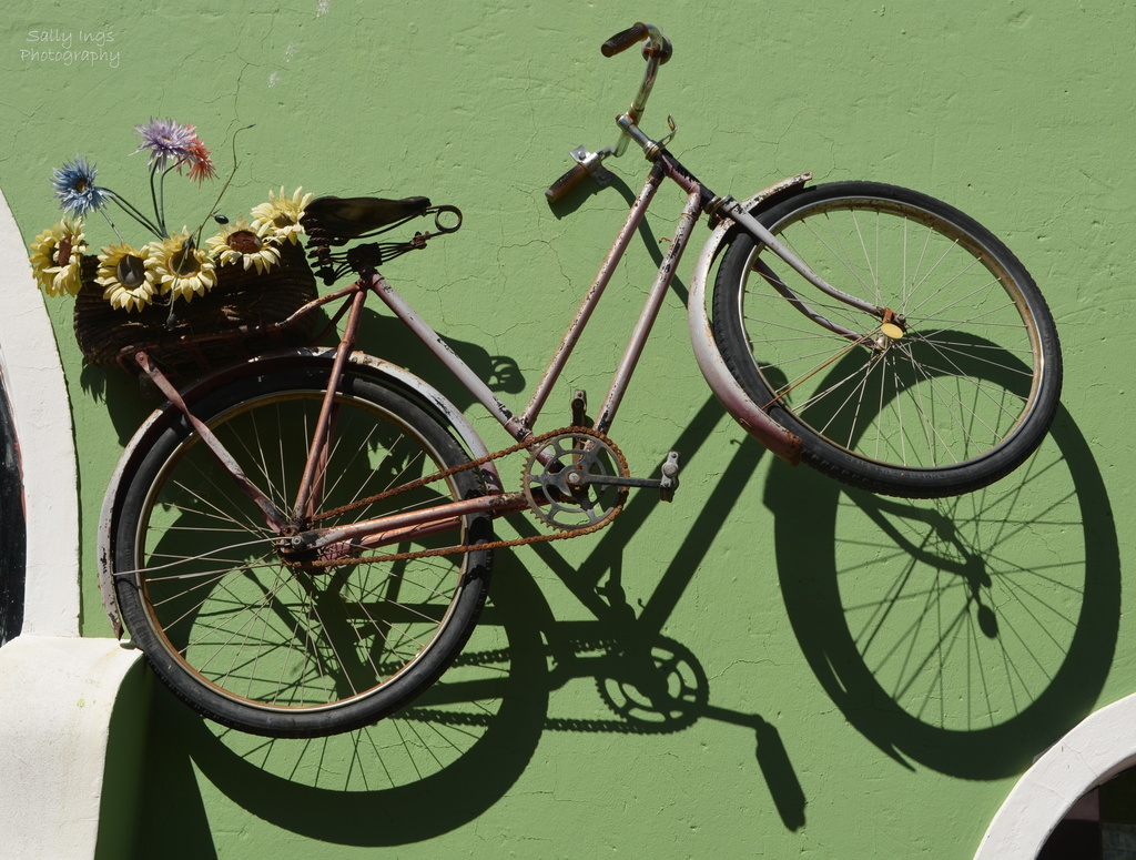 Walled Bike by salza