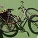 Walled Bike by salza