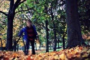 28th Oct 2012 - Autumn Blur